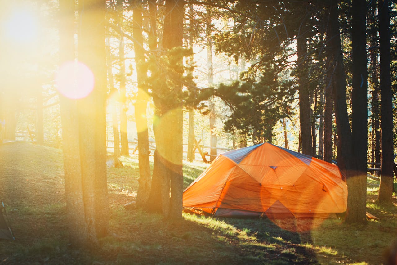Orange tent in a sunlit forest, perfect for a summer camping adventure.